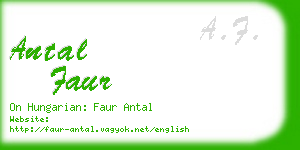 antal faur business card